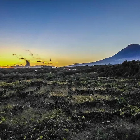 Esense - Formosinha Madalena (Azores)