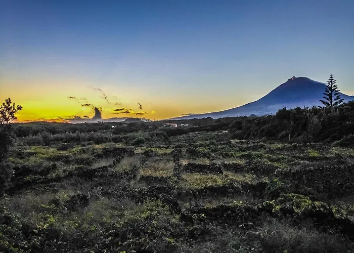 Esense - Formosinha Madalena (Azores)